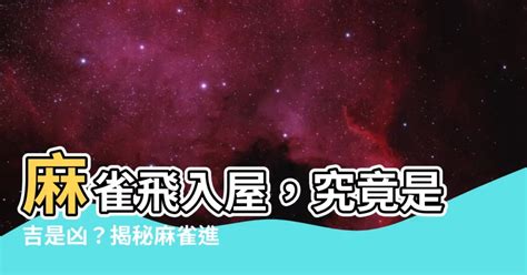 雀鳥飛入屋|【麻雀進屋什麼意思】麻雀進宅，吉兆還是凶兆？揭秘麻雀進屋背。